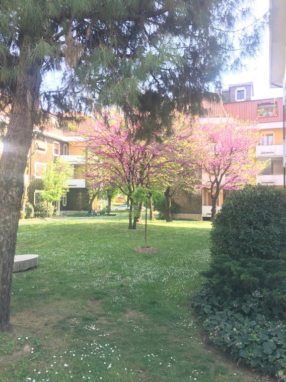 Il Contrabbasso Cremona Esterno foto