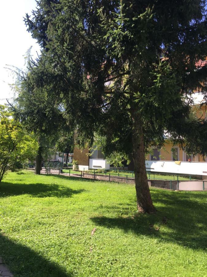 Il Contrabbasso Cremona Esterno foto